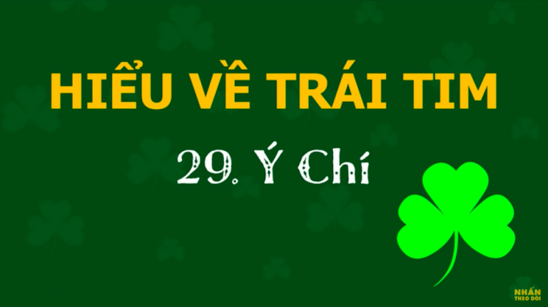 &yacute; ch&iacute; hiểu về tr&aacute;i tim